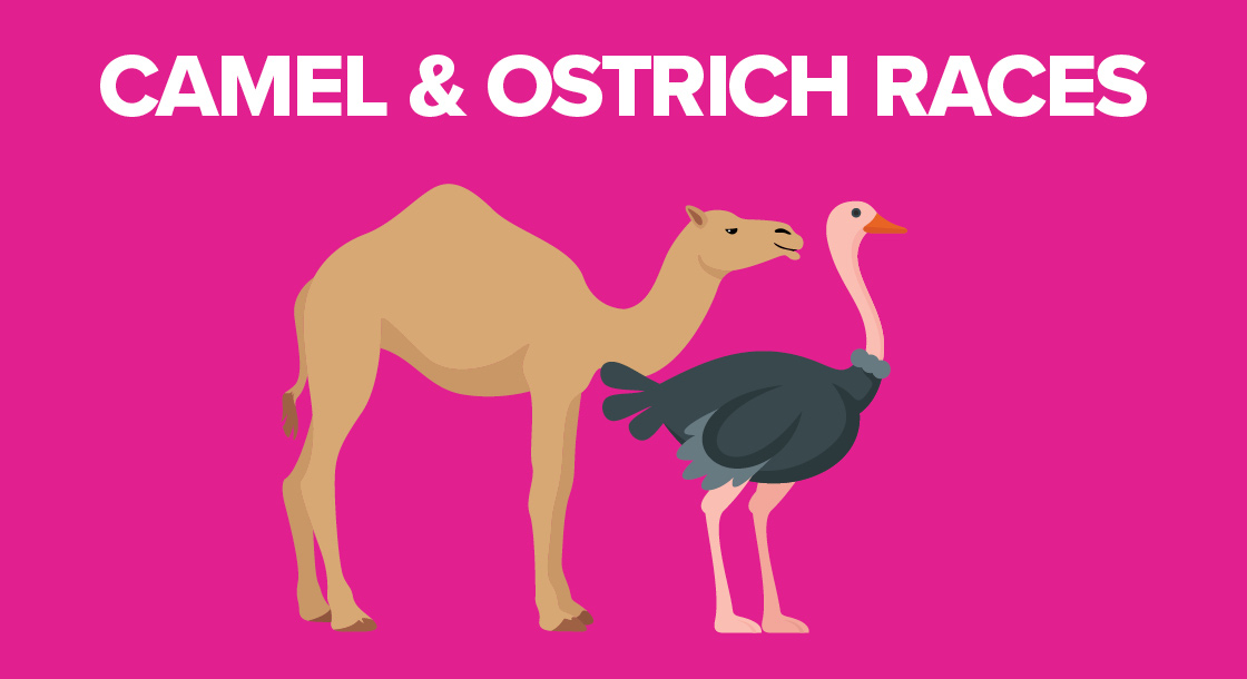 Camel Ostrich Race at Ocean Downs