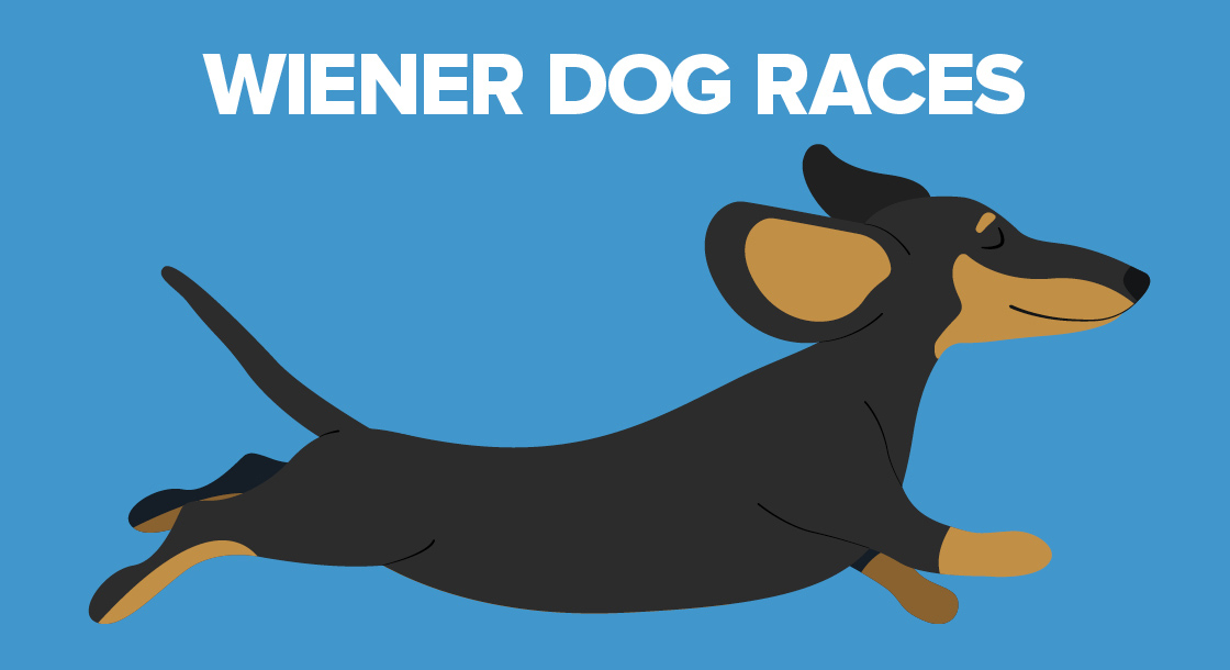 Wiener Dog Races at Ocean Downs